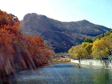 天天彩好彩天天免费，纯野猪